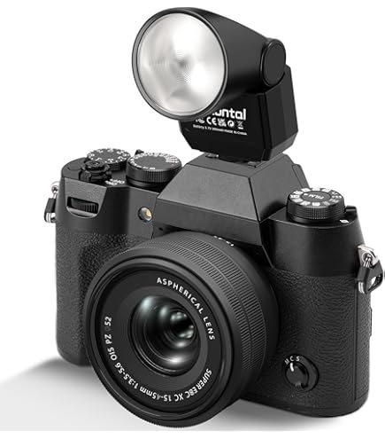 Amazon.com : Canon VL-5 Video Light for Mini Advanced Accessory