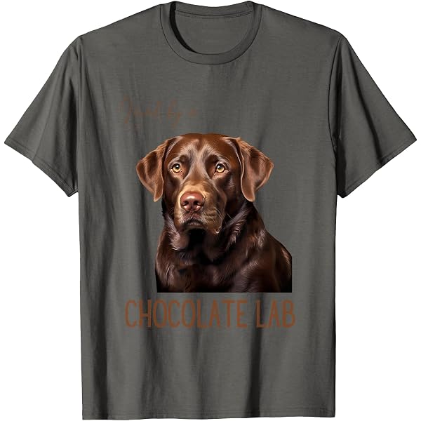 Amazon.com: I Love My Chocolate Lab T-Shirt | Labrador Retriever