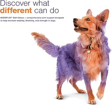 movoflex chewy