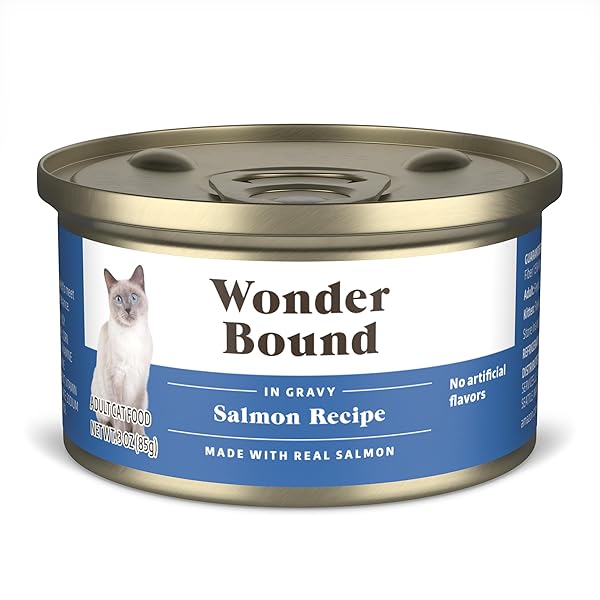 AMAZON BRAND – WONDER BOUND CANNED WET CAT...