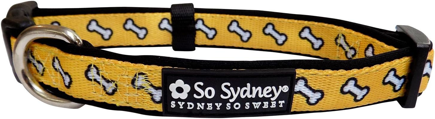 funky leather dog collars