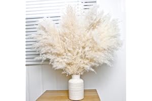 NAUNAUYA 10 PCS Beige Pampas Grass Decor, Naturally Dried Pompas, Bunny Tails Dried Flowers, and Dried Eucalyptus. Perfect for Weddings, Boho Party Decorations, and Table Decor(17inch)