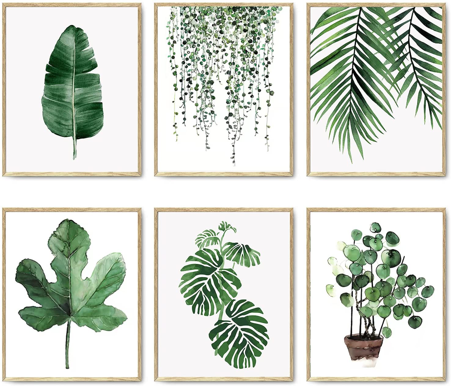 Botanical Plants Wall Art Prints, Set of 6 Aesthetic Room Decor, 8.2 x 11.8 Inches,No Frame,Green Watercolor, Botanical Pictures, Leaf Pictures, Wall Art, Home Decor, Bathroom, Kitchen, Living Room