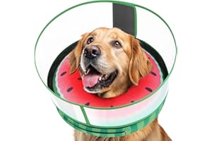 Didopet Inflatable Dog Cone with Anti-Licking Clear Shield, Protective Dog Donut Collar After Surgery, Adjustable Soft Recovery Cone for Pets, Alternative Collar with Buckle Strap (Watermelon, L)