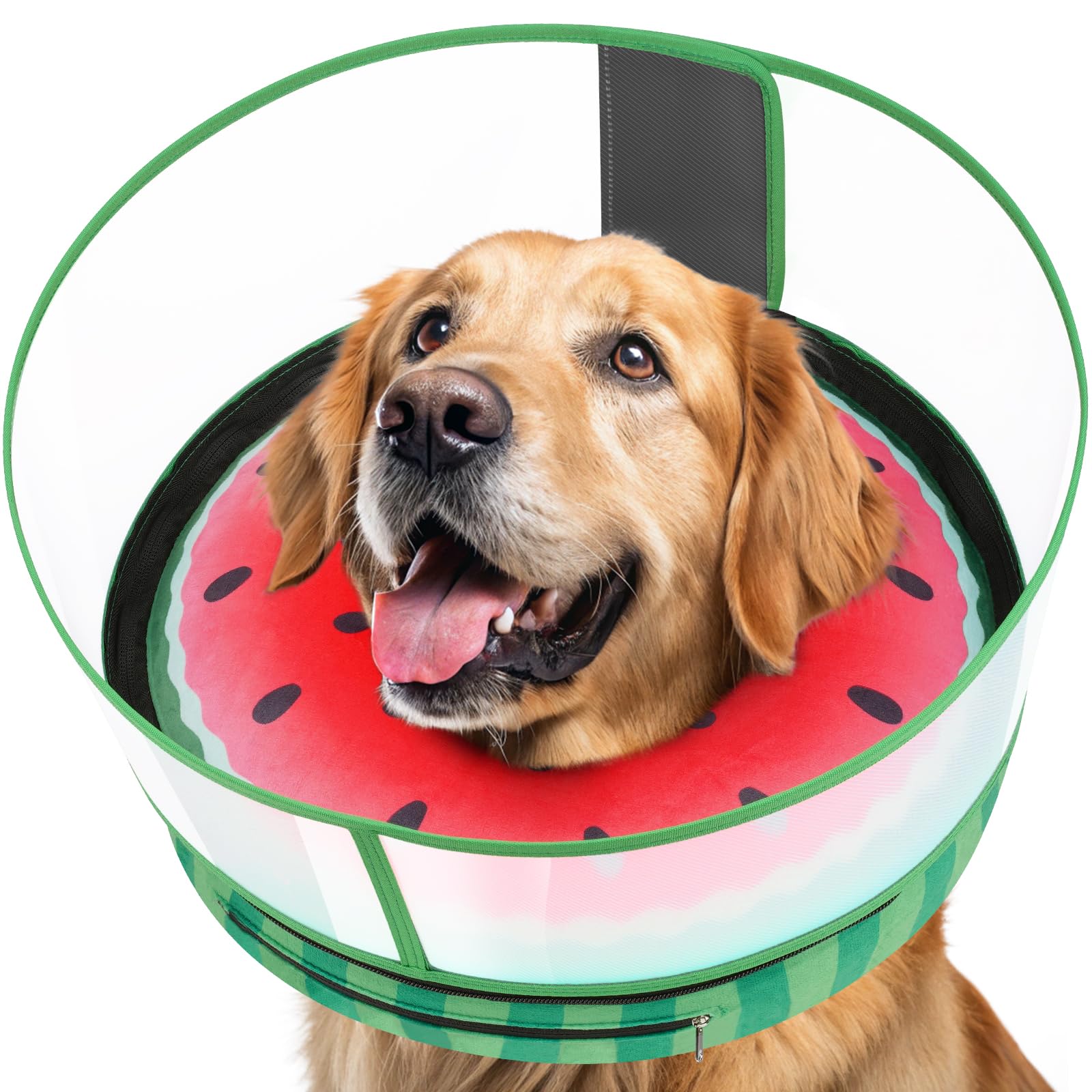 Photo 1 of Didopet Inflatable Dog Cone with Anti-Licking Clear Shield, Protective Dog Donut Collar After Surgery, Adjustable Soft Recovery Cone for Pets, Alternative Collar with Buckle Strap (Watermelon, M+)