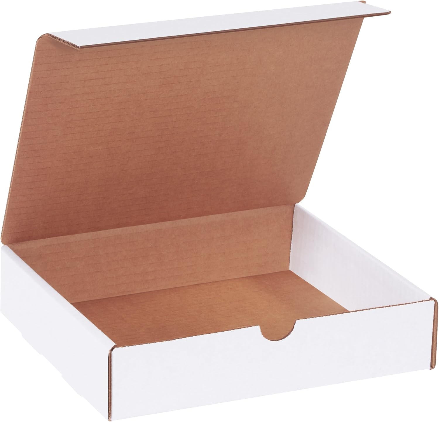BOX USA BML982 Literature Mailers, 9" x 8" x 2", White (Pack of 50): Industrial & Scientific