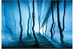 ELEBOX Fish Backgrounds Paper Double Sides 3D Stone & Trees Aquarium Background Picture 12" x 32" Fish Tank Background