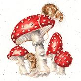 Bothy Threads Cross Stitch Kit - The Fairy Ring