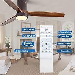 CACI Mall Low Profile Ceiling Fan with Lights, 52