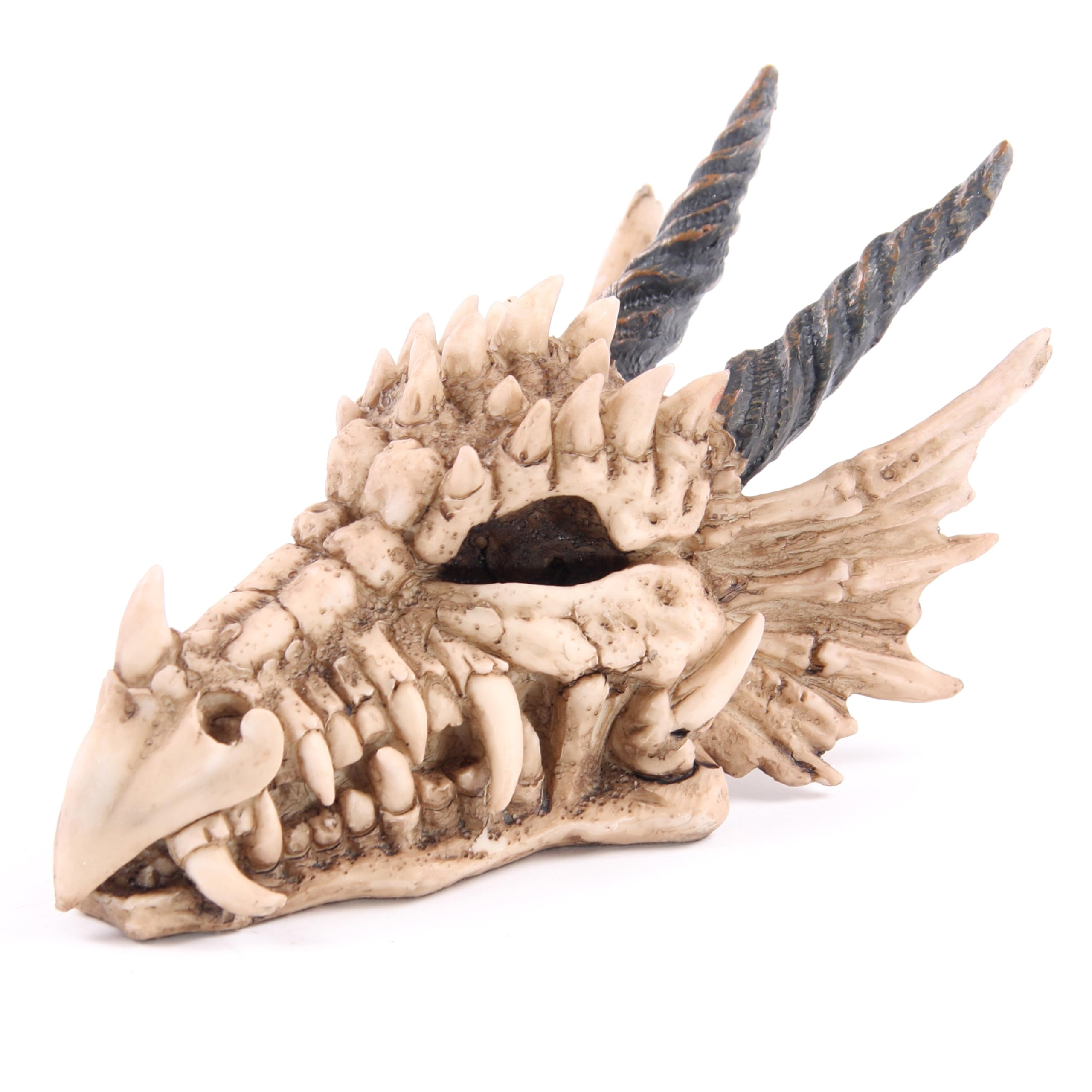 Puckator DRG186 Dragon Skull Money Box 19 x 11 x 11 cm
