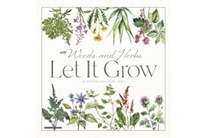 Weeds and Herbs―Let It Grow 2025 12" x 12" Wall Calendar