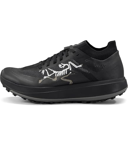 Amazon.com: Arc'teryx Sylan GTX Men's Running Shoes | Waterproof