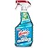 Windex Glass and Window Cleaner Spray Bottle, Packaging Designed to Prevent Leakage and Breaking, Surface Cleaning Spray, Ori