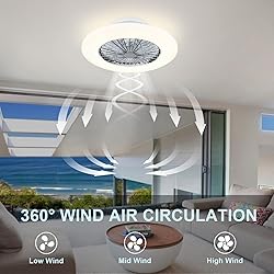 DLLT Ceiling Fan with Led Lights, 20'' Modern