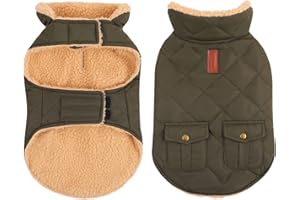Queenmore Warm Dog Coat, Cold Weather Puffer Dog Coat, Quilting Winter Dog Jacket Ultra Thick Plush Lining with Storage Pockets (Green, Small)