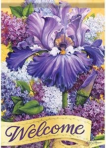 Carson Home Accents 49233 Classic Garden Flag, Multi-Color