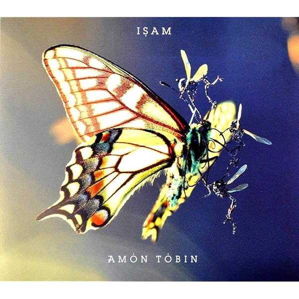 Tobin, Amon - Bricolage - Amazon.com Music