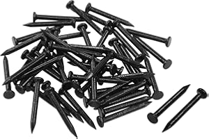 Cionyce 50pcs Hardware Nails 1 inch Length, Black Carbon Steel Point Tip Wall Cement Masonry Nail,Woodworking Nails,Concrete Nails