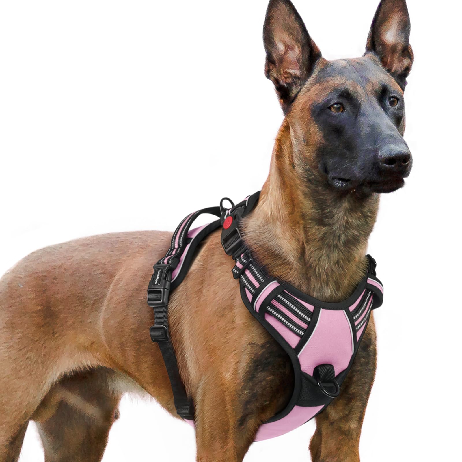 rabbitgoo Dog Harness Large Dog with Neck Release Buckle, No Pull Harness with Front Back Clips, Adjustable Soft Padded with Easy Control Handle, Reflective No-choke Pet Walking Vest, Pink, XL