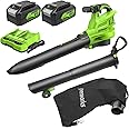 Greenworks 48V (2x24V) 520 CFM Brushless Leaf Blower/Vacuum w/ (2) 4.0Ah Battery & Dual Port Charger