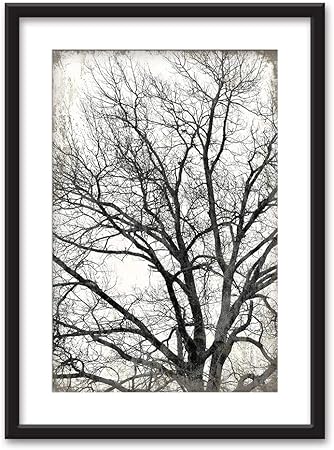 Amazon Com Wall26 Framed Wall Art Tree In Black White On