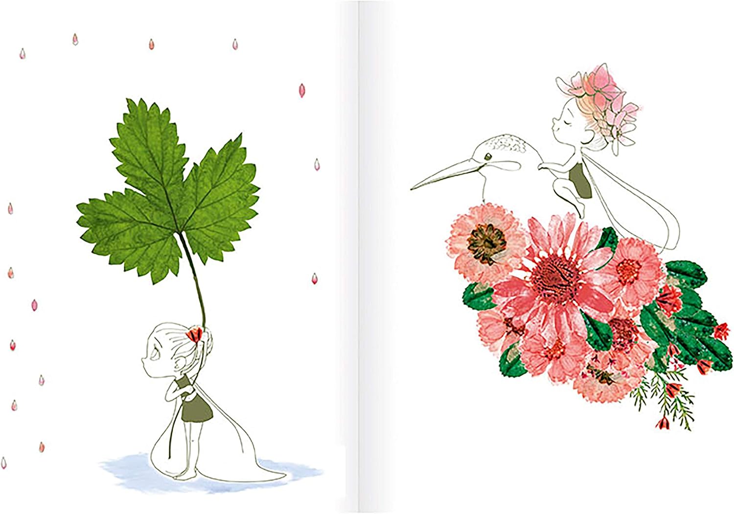 Avenue Mandarine, Ref CO175C, Creative Box, Flower Press and Herbarium, Collect & Keep Beautiful Floral Compositions - Image 4
