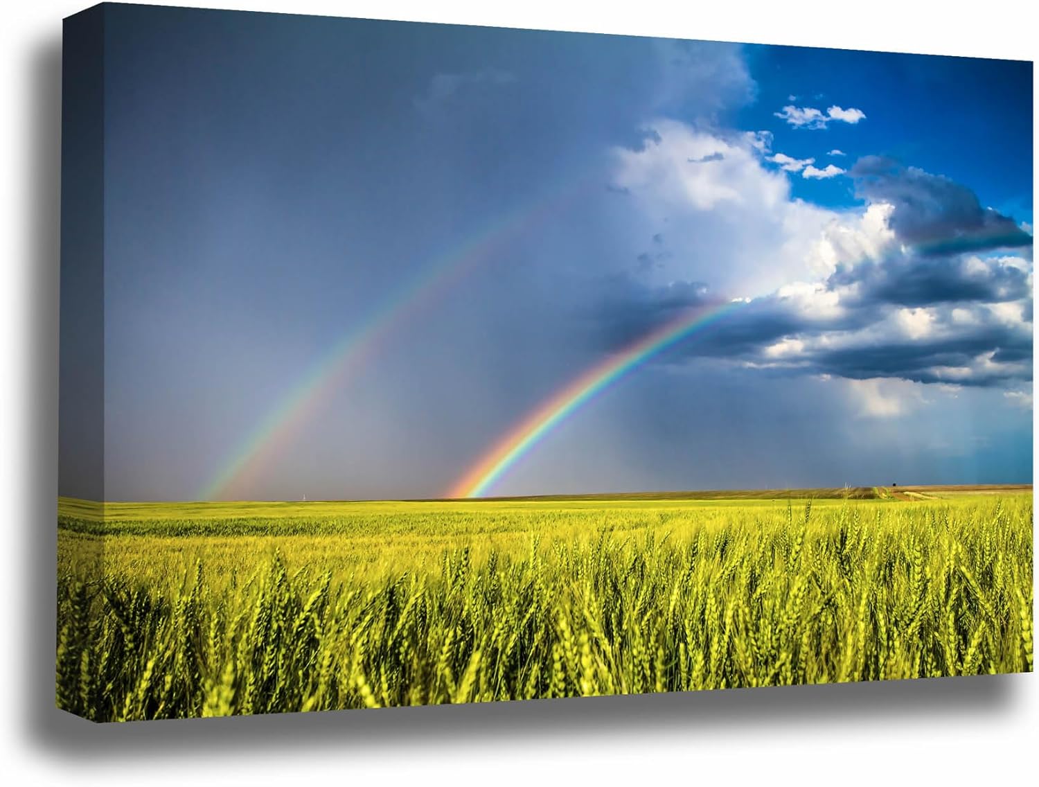 Photographs - Great Plains Canvas Wall Art (Ready to Hang) Gallery Wrap of Double Rainbow Over Wheat Field on Spring Day in Kansas Nature Photography Farmhouse Decor (1.5, 16
