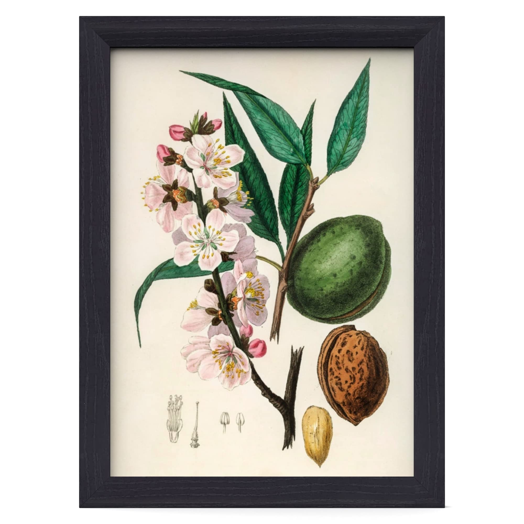 MH Traders 3 Pack Black A3 Picture Frame - Wall Mounted Photo Frame for Pictures Posters & Certificates - 30 x 42 CM A3 Size Compact Picture Frames — image 1