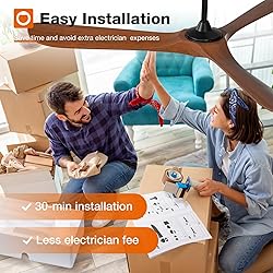 addlon Ceiling Fans, 60 Inch Indoor/Outdoor Ceiling