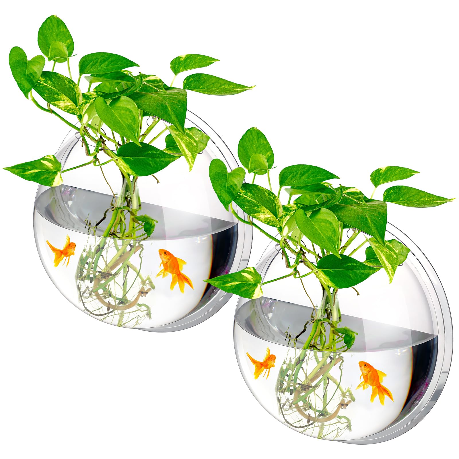 Photo 1 of Ziliny 2 Pcs Hanging Wall 1 Gallon Fish Bowls Acrylic Clear Wall Fish Tank for Beta Aquariums Mounted Plant Bubbl Ecosphere Decor