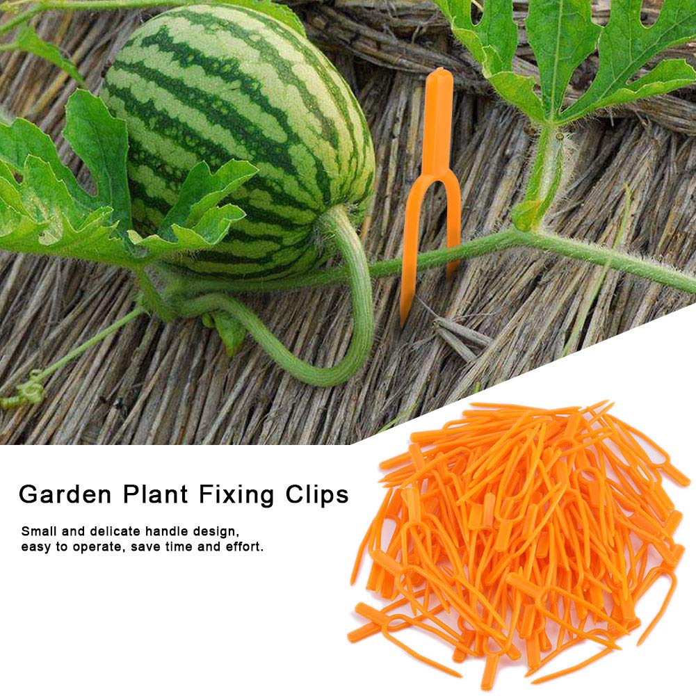 Hongzer Clip de jardín, 100 Unids Clips de Fijación de Plantas de ...