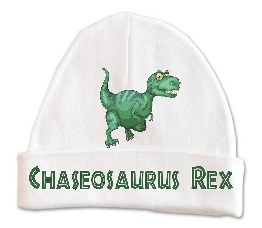 newborn dinosaur hat