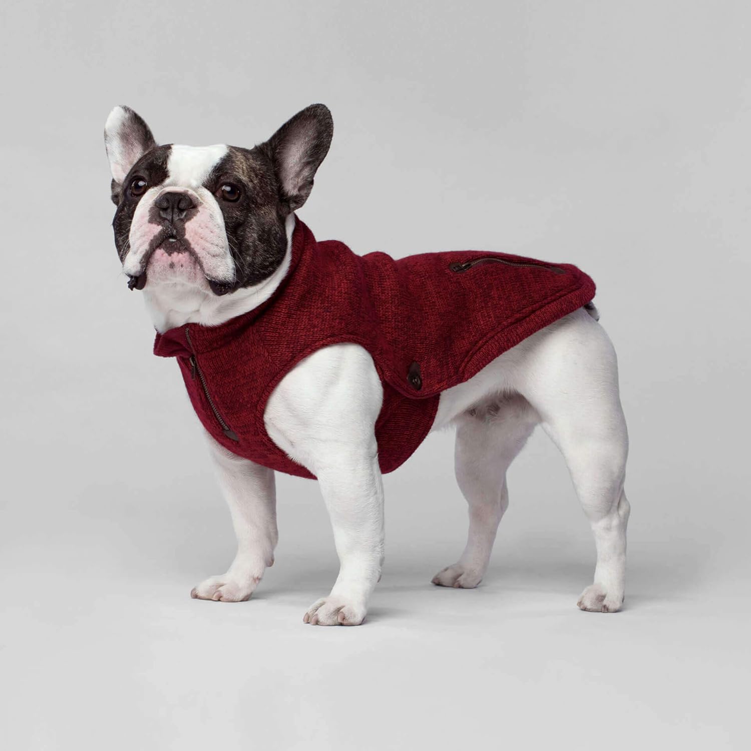 canada pooch sweater