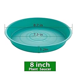 Bleuhome 6 Pack of 8 inch Plant Saucer