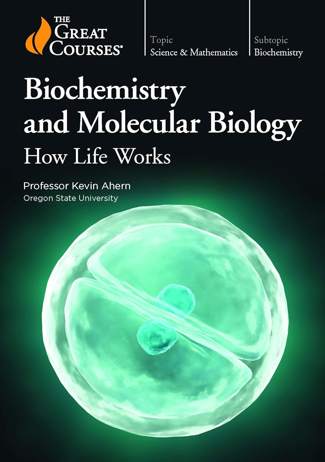 Biochemistry and Molecular Biology How Life Works Movies &amp; TV