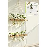 Renmxj Plant Propagation Station Wall Hanging, Plant Terrarium with 2 Tiered Wooden Stand for Hydroponics Plants, Unique Gardening Gifts for Women Mom Plants Lovers - 6 Bulb Glass Vases