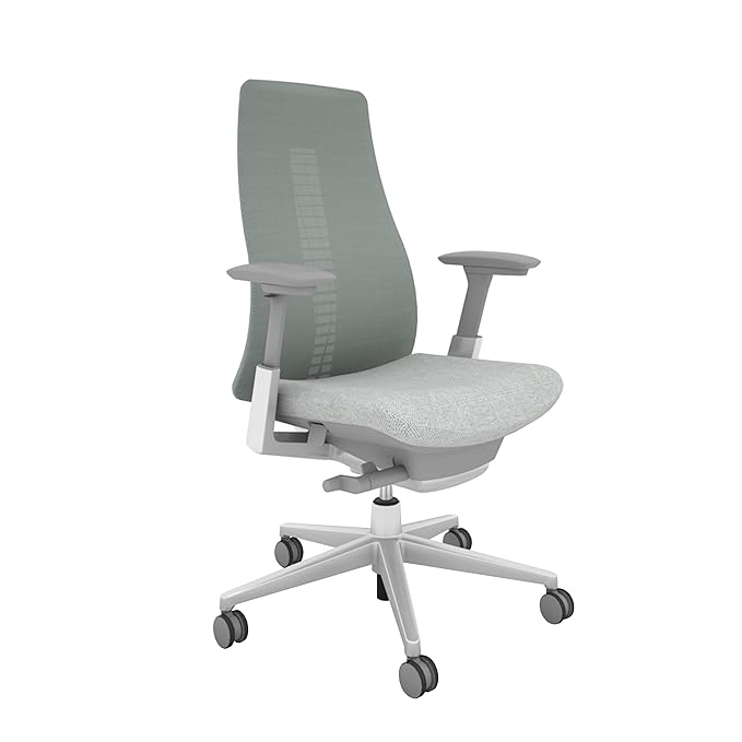 Haworth Fern High Performance Office Chair with Ergonomic Innovations
