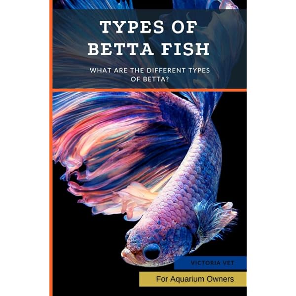 Every Type Of Betta Fish