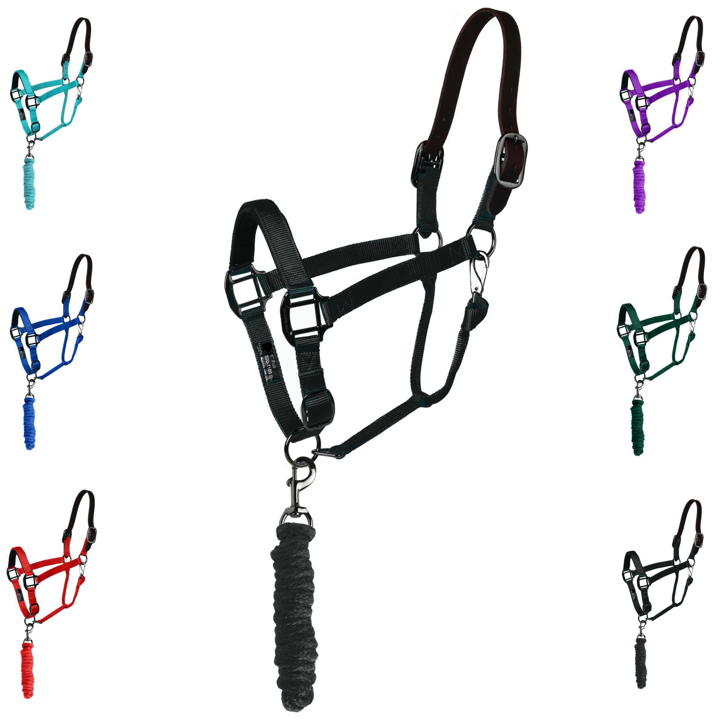 Majestic Ally Leather HeadCollar Halter with Matching Lead Rope for Horses – Leather Breakaway Crown - Adjustable Chin Strap – Rolled Throat Latch – Padded Noseband – Full (Black-Black Nickel, Full)