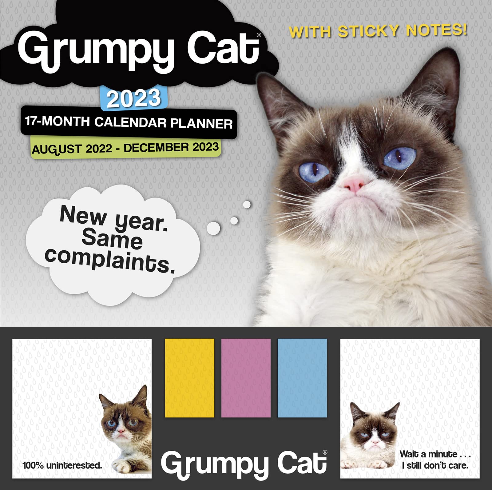 Grumpy Cat August 2022-December 2023 17-Month Planner: It’s All Downhill from Here. (STICKY NOTE PLANNER)