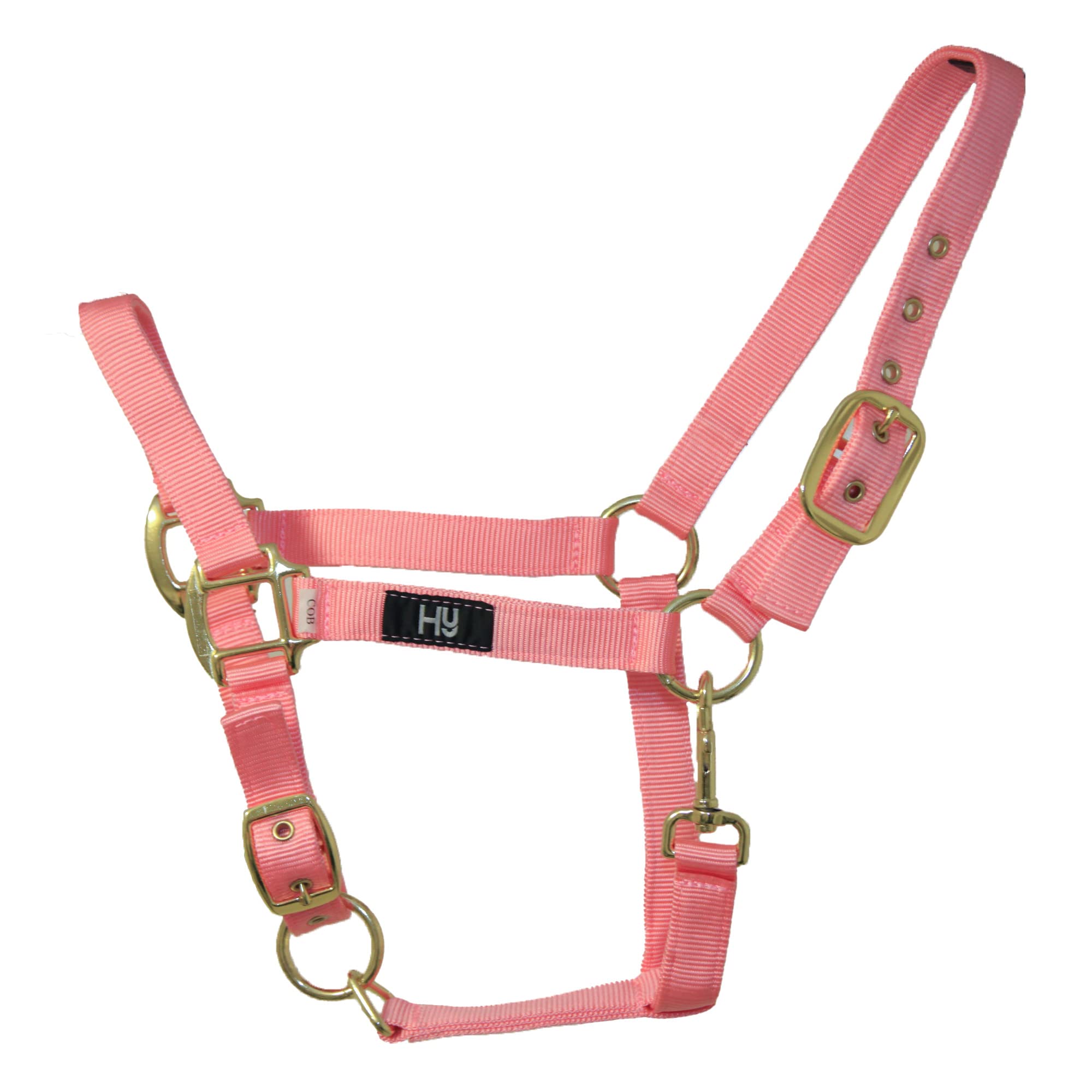 Hy Head Collar (Cob) (Baby Pink)