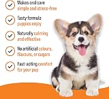 VETIQ Fast Pain Relief Teething Gel With Applicator 50 g Dogs Puppies 4+ Week view 4