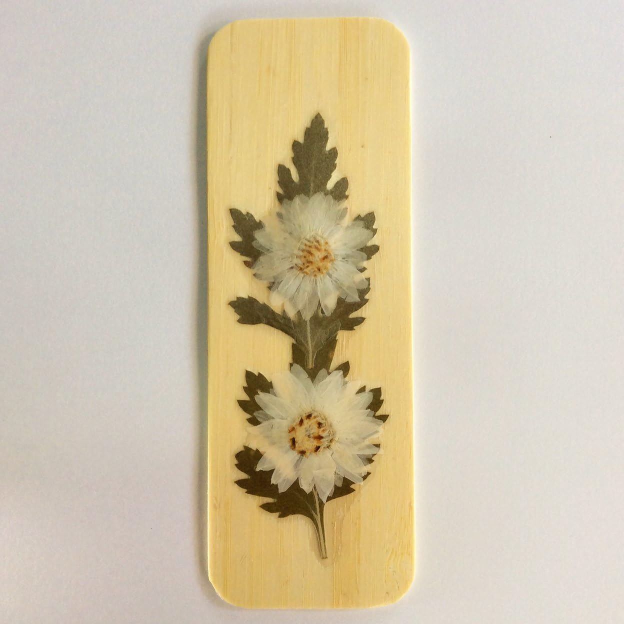 Planet B612 Handmade Unique Bookmark (Natural Bamboo Bookmark with Dried Flower Specimen, a Perfect Gift for Any Reader and Office Workers)