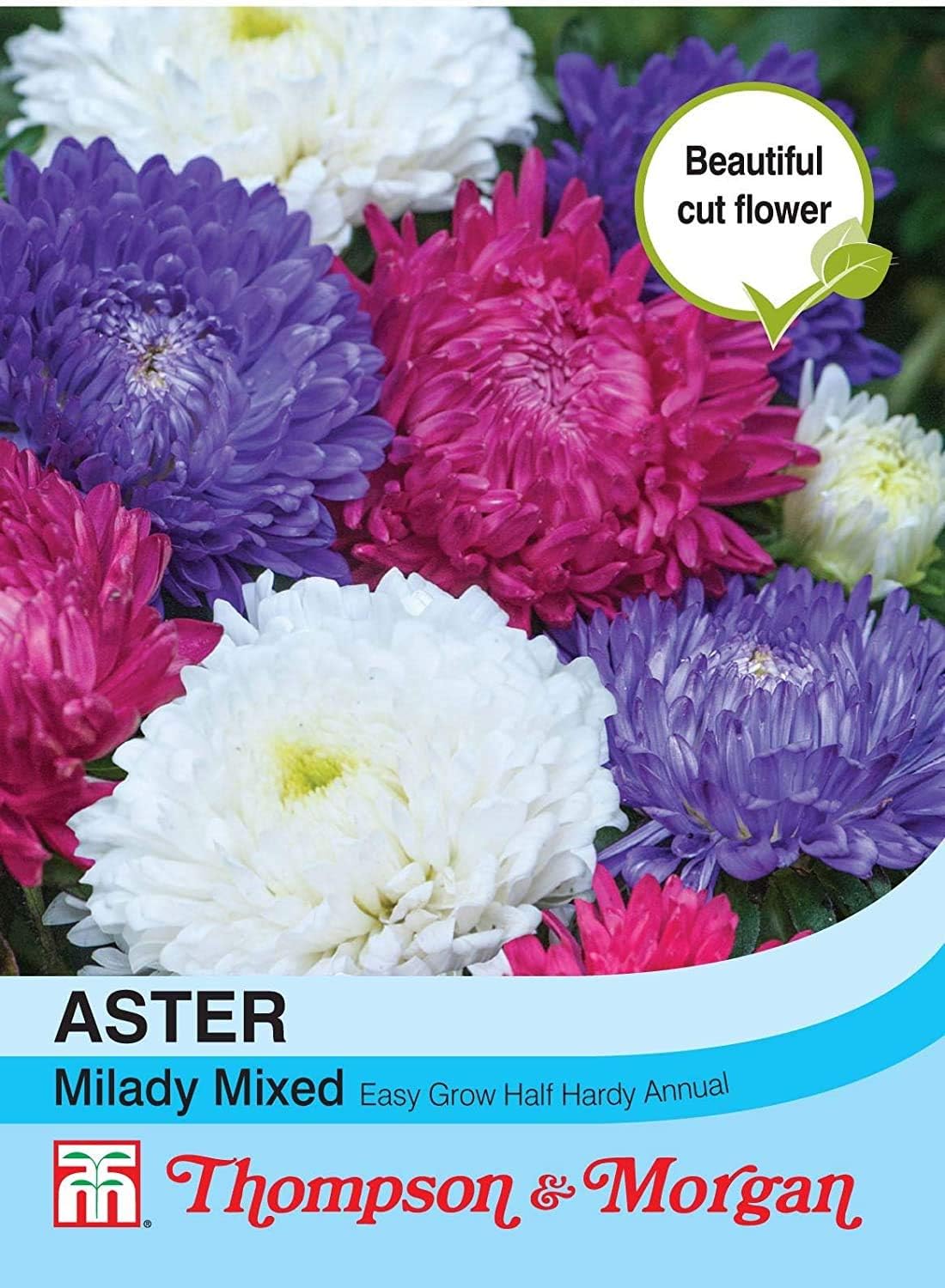 Thompson & Morgan - Flowers - Aster Milady Mixed - 150 Seed