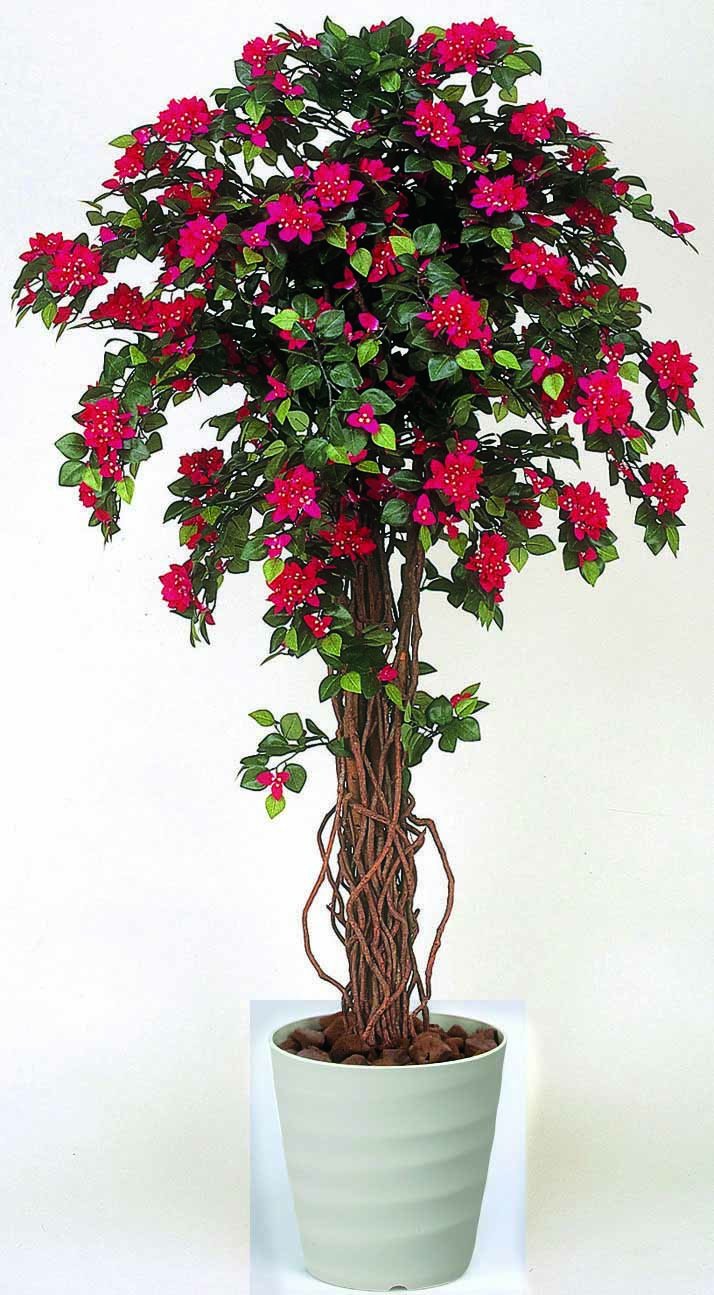 驚きの値段 光触媒 ブーゲンビリア1 6m 人工観葉植物 B0785lvgsx 激安の Www Craft No