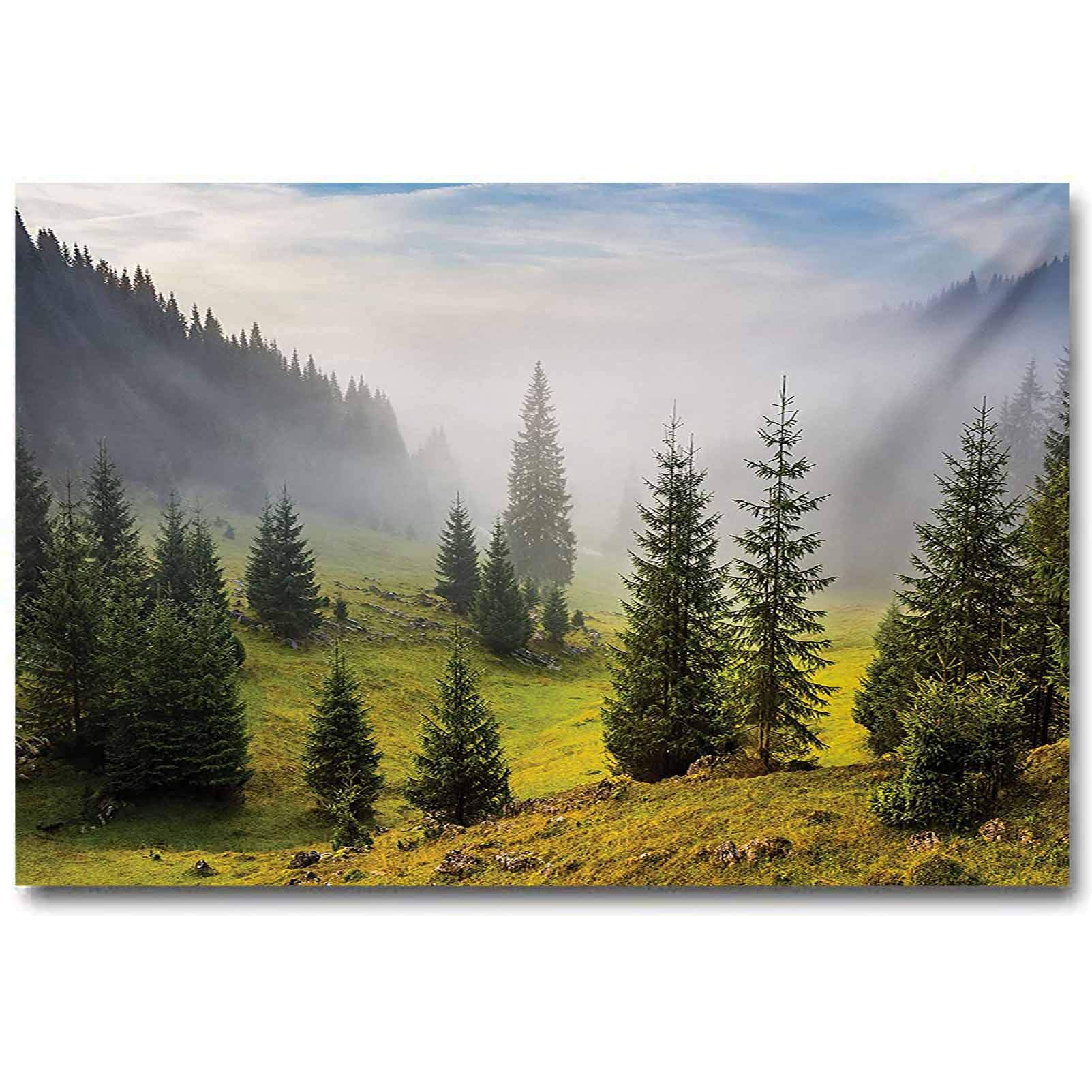 jiyanling Forest Dining Room Wall Decor Fir Trees on Meadow Between Hillsides with Conifer Forest in