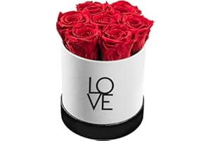SOHO FLORAL ARTS New Roses Preserved Flowers | Genuine Roses That Last for Years | Flowers for Delivery Preserved Roses in A Box Christmas Gift | Birthday Gift (Love Box, Red Roses)