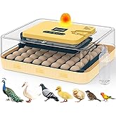 Incubators for Hatching Eggs, 56 Eggs Incubator with Egg Candler, Auto Egg Turner, Temp &amp; Humidity Control, Hatch Day,360&deg; Viewing for Chicken,Duck,Quail Eggs,Ideal for Farm,School and Lab,Blue&amp;Yellow