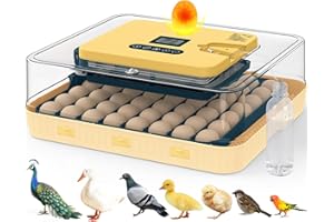 INNHOM Incubators for Hatching Eggs, 56 Eggs Incubator with Egg Candler, Auto Egg Turner, Temp & Humidity Control, Hatch Day, 360° Viewing for Chicken, Duck, Quail Eggs, Ideal for Farm, School and Lab