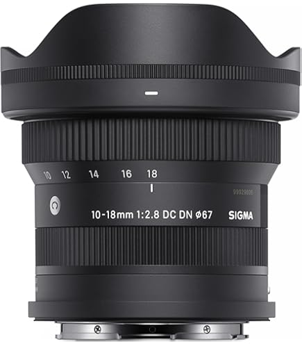 MINOLTA AF 24mm F2.8 SONY Aマウント L890 ミノルタ AF 24mm F2.8を買ったのでα7C IIで使用レビュー
